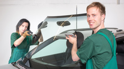 Franchising NewCar